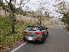 可愛すぎ。
