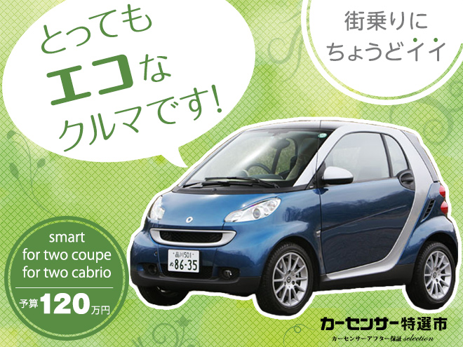 とってもエコなクルマです！｜カーセンサー特選市