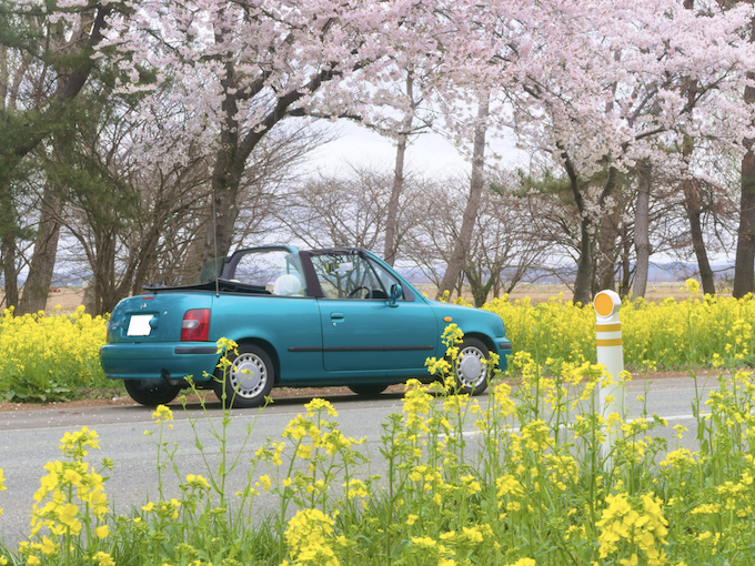 日産 マーチカブリオレ