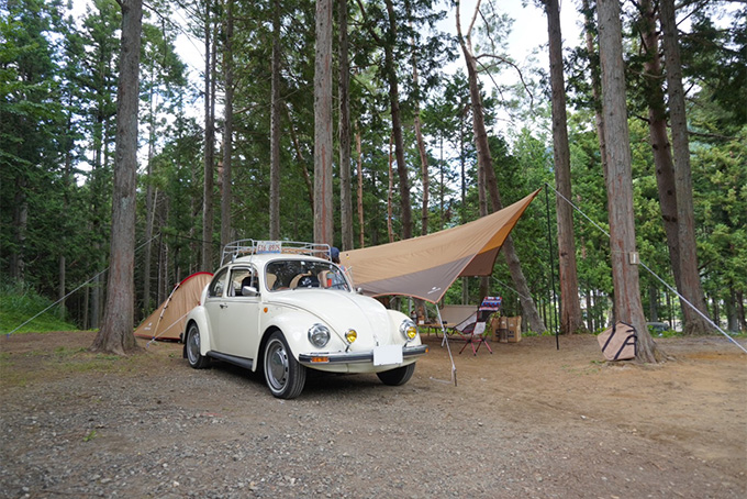 VW ビートル